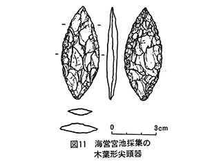 �C�c�{�r
